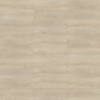 Picture of Shaw Floors - Branching Out Coretec 12MIL Riverside Oak