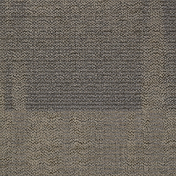 Picture of Shaw Floors - Color Play Cane
