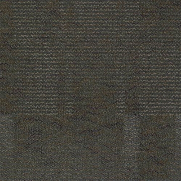 Picture of Shaw Floors - Color Play Urban Jungle