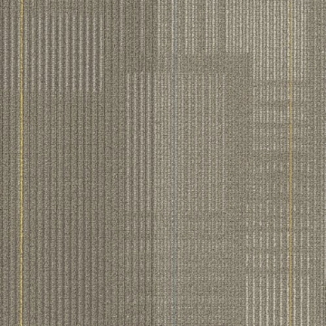 Picture of Shaw Floors - Diffuse 24 x 24 Road Trip