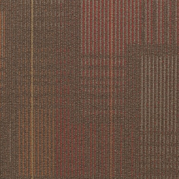 Picture of Shaw Floors - Diffuse 24 x 24 Southbound