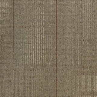 Picture of Shaw Floors - Diffuse 24 x 24 Annual
