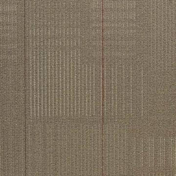 Picture of Shaw Floors - Diffuse 24 x 24 Annual