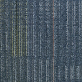 Picture of Shaw Floors - Diffuse 24 x 24 Flyway