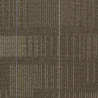 Picture of Shaw Floors - Diffuse 24 x 24 Nomad