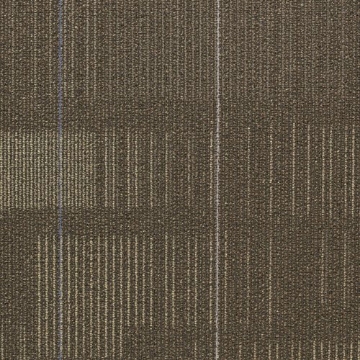 Picture of Shaw Floors - Diffuse 24 x 24 Nomad