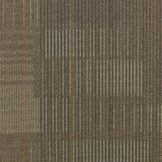 Picture of Shaw Floors - Diffuse 24 x 24 Voyage