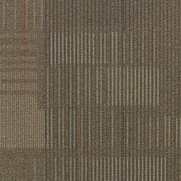 Picture of Shaw Floors - Diffuse 24 x 24 Voyage