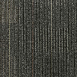 Picture of Shaw Floors - Diffuse 24 x 24 Movement