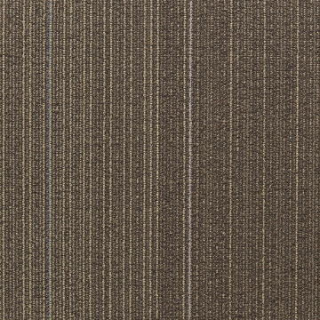 Picture of Shaw Floors - Disperse Nomad