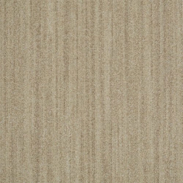 Picture of Shaw Floors - Earth Tone Yucca