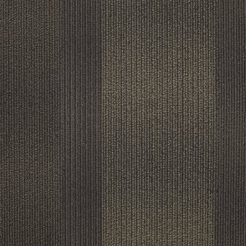 Picture of Shaw Floors - Hybrid Tortoise Shell