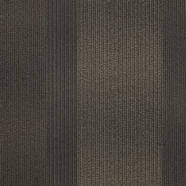 Picture of Shaw Floors - Hybrid Tortoise Shell