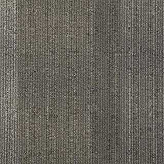 Picture of Shaw Floors - Hybrid Dapple