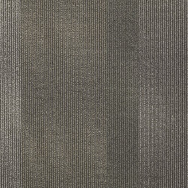 Picture of Shaw Floors - Hybrid Dapple