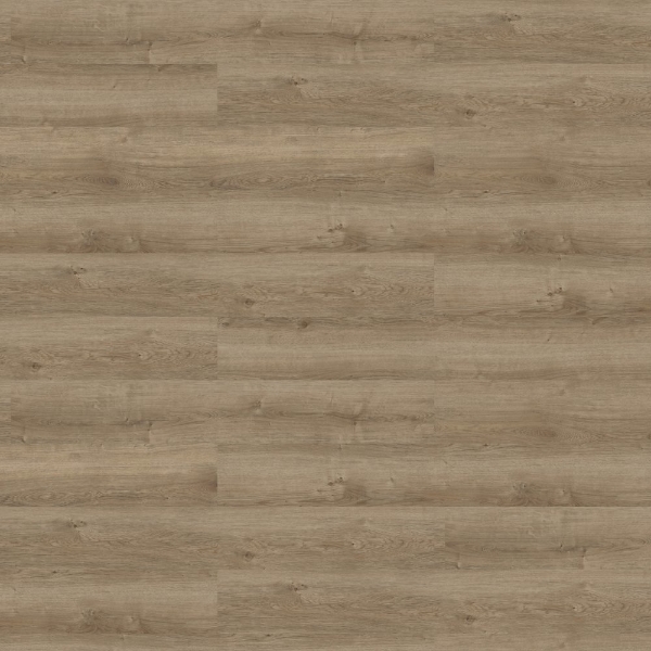 Picture of Shaw Floors - Respite Coretec Path
