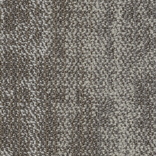 Picture of Shaw Floors - Suspend Tile Branch
