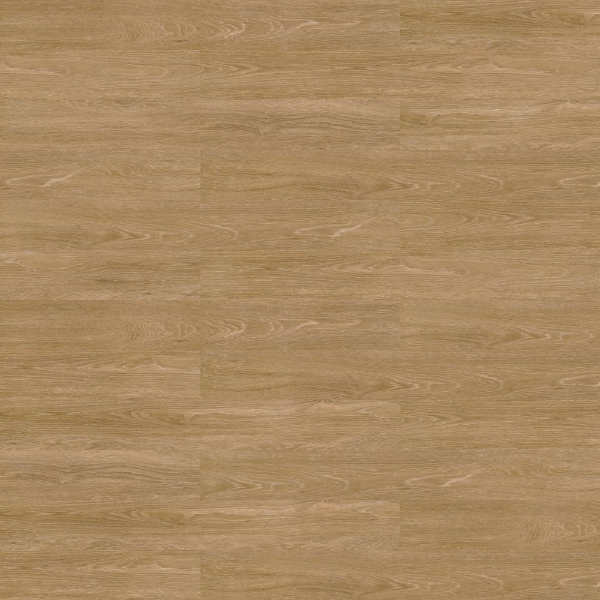 Picture of Shaw Floors - Terrain II 20 Mil Trail