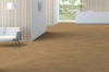 Picture of Shaw Floors - Terrain II 20 Mil Trail