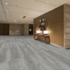 Picture of Shaw Floors - Terrain II 20 Mil Ash