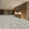 Picture of Shaw Floors - Terrain II 20 Mil Orchard