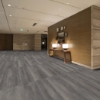 Picture of Shaw Floors - Terrain II 20 Mil Willow