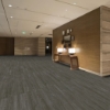 Picture of Shaw Floors - Terrain II 20 Mil Shade
