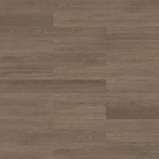 Picture of Shaw Floors - Terrain II 20 Mil Elm