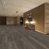 Picture of Shaw Floors - Terrain II 20 Mil Thicket