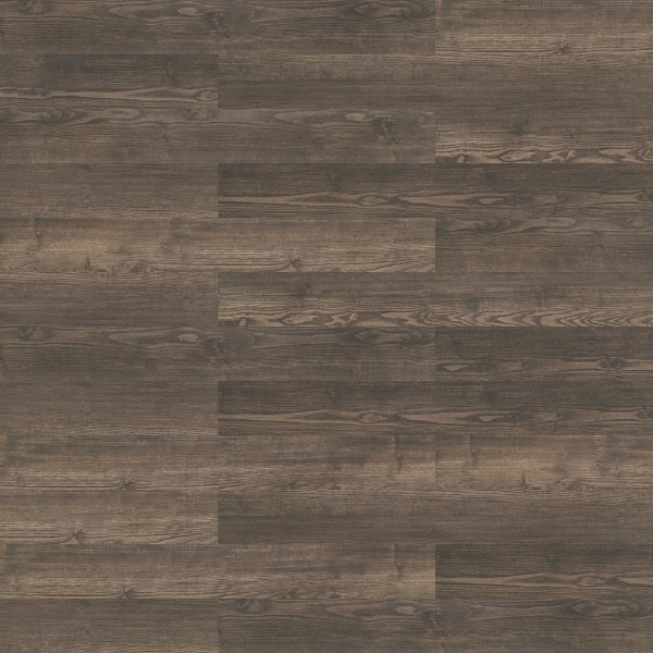 Picture of Shaw Floors - Terrain II 20 Mil Thicket