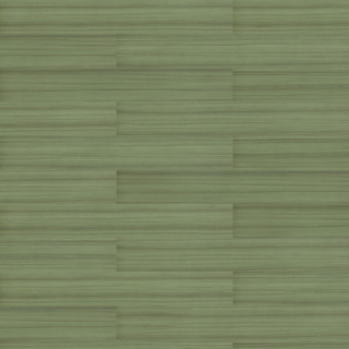 Picture of Shaw Floors - Terrain II Rigid Core 20 MIL 7 x 48 Olive