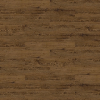 Picture of Shaw Floors - Uncommon Ground 6 Colonial