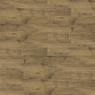 Picture of Shaw Floors - Uncommon Ground 6 Heritage