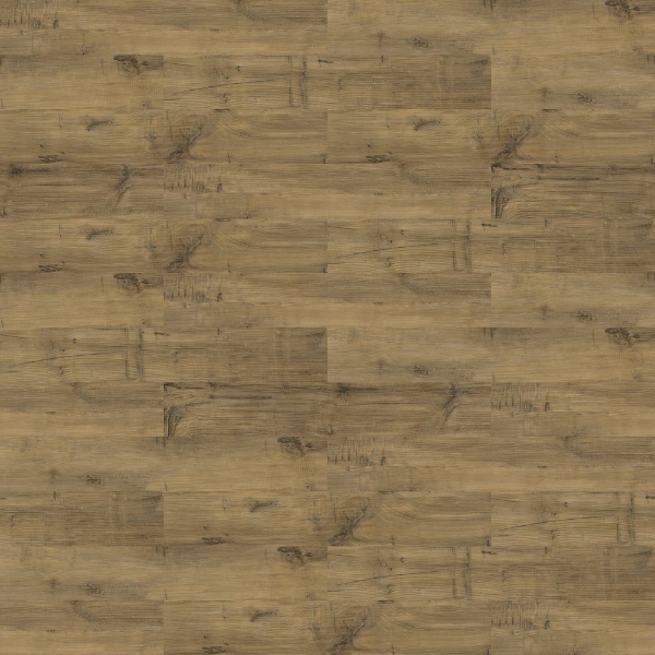 Picture of Shaw Floors - Uncommon Ground 6 Heritage