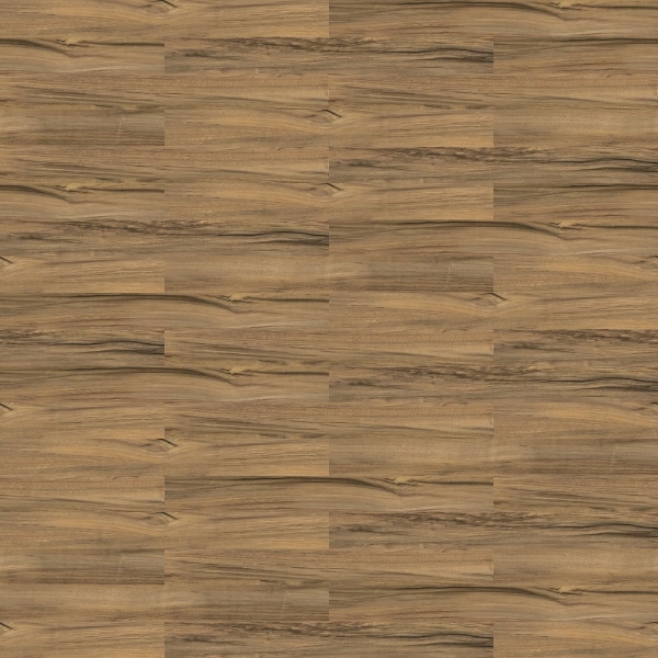 Picture of Shaw Floors - Uncommon Ground 4 Olivewood