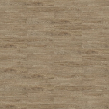 Picture of Shaw Floors - Uncommon Ground 4 Provence