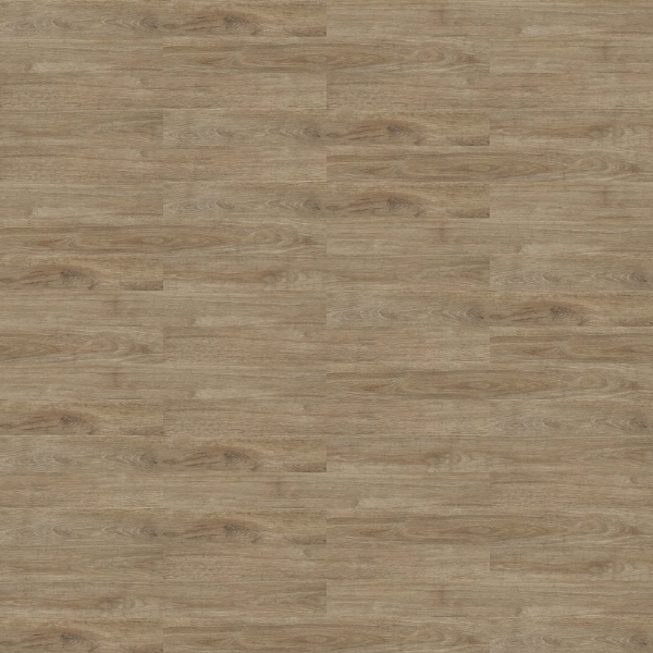 Picture of Shaw Floors - Uncommon Ground 4 Provence