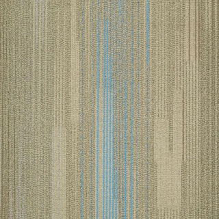 Picture of Shaw Floors - Visible Ionized