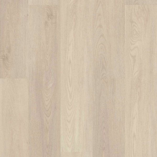 Picture of Shaw Floors - Endura Plus Silver Dollar