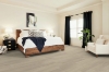 Picture of Shaw Floors - Endura Plus Silver Dollar