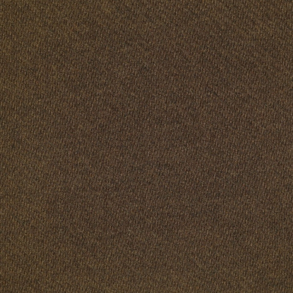 Picture of Shaw Floors - Entree Tobacco