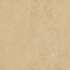 Picture of Emser Tile - Perenne 24 x 24 Amber