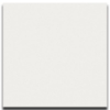Picture of Fanal - Snow 36 x 36 White Polished