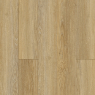 Picture of Mohawk - SolidTech Essentials Discovery Ridge Coffee House Tan