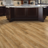 Picture of Mohawk - SolidTech Essentials Discovery Ridge Richmond Gold