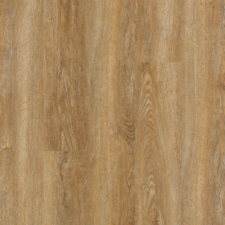Picture of Mohawk - SolidTech Essentials Discovery Ridge Richmond Gold
