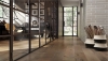 Picture of Mercier - Element Engineered Distinction 3 1/4 Hard Maple Terrain Satin
