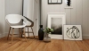 Picture of Mercier - Pro Series Engineered 5 1/2 Red Oak Natural Satin