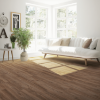 Picture of Aladdin Commercial - Wildwood Preserve Loggerhead Oak