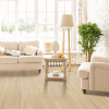 Picture of Mohawk - PureTech Plus Ellenwood Dusty Trail Oak